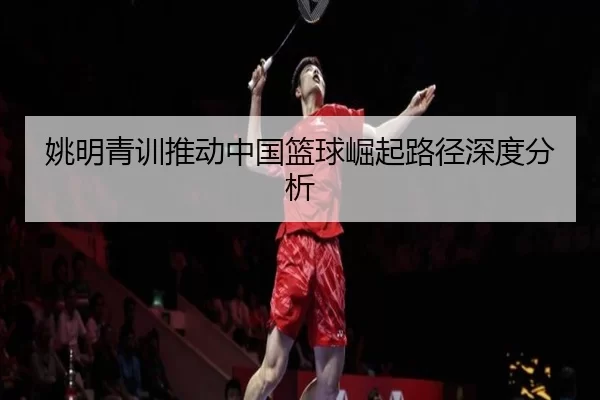 姚明青训推动中国篮球崛起路径深度分析